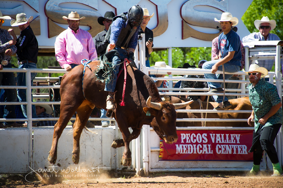 A DAY AT THE RODEO IN PECOS, NEW MEXICO PART TWO » Wolbarst